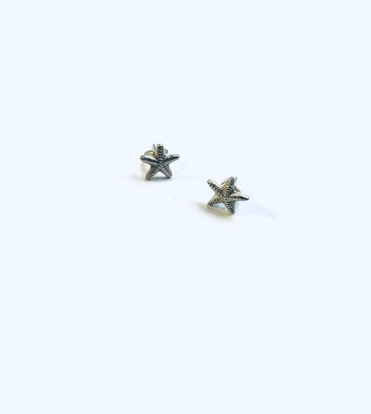 Small starfish